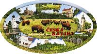 Detail Pohlednice Česká Kanada (C-CDO 004)