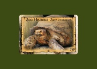 Detail Magnetka ZOO Hluboká (C-HLM 719)