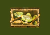 Detail Magnetka ZOO Hluboká (C-HLM 720)