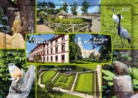 Detail Pohlednice Hluboká nad Vltavou (C-HLV 017)