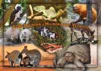 Detail Pohlednice ZOO Hluboká - Hluboká nad Vltavou (C-HLV 018)