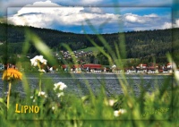 Detail Pohlednice Lipno (C-LIJ 082)
