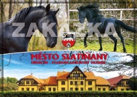Detail Pohlednice Slatiňany (XESLV 009)