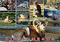 Detail pohlednice ZOO Ohrada Hluboká nad Vltavou (C-ZOV 001)