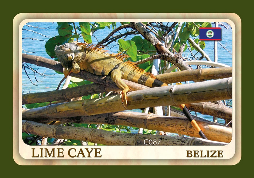 Magnetka MC Belize Lime Caye  MC087