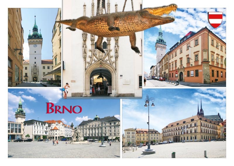 Brno  B-BRV 008