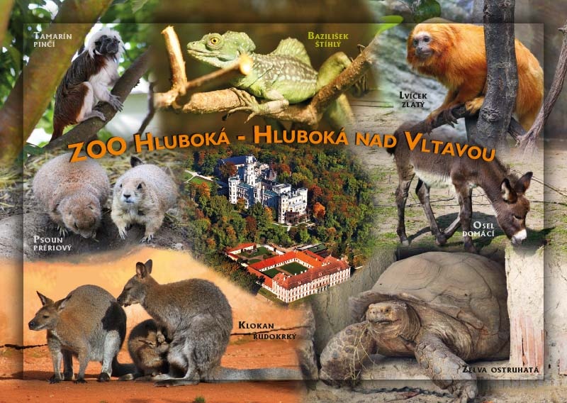 ZOO Hluboká - Hluboká nad Vltavou  C-HLV 018