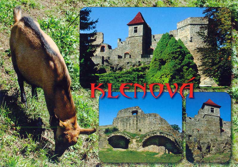 Klenová  P-KNV 003